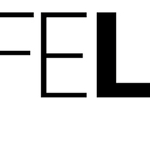 SafeLink Consulting, Inc.